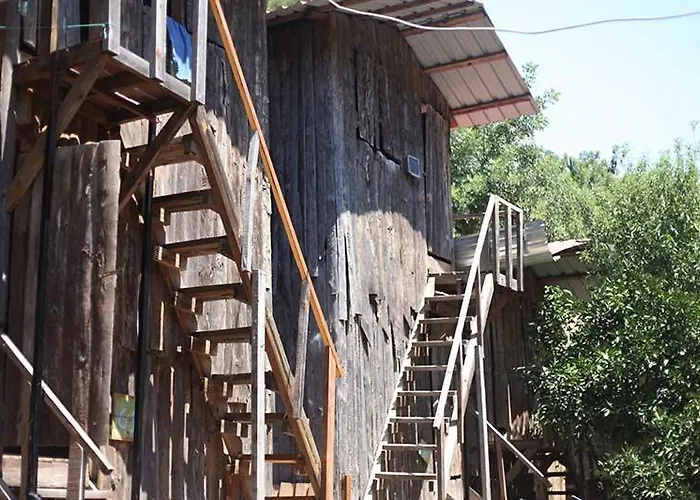 Bayrams Tree Houses