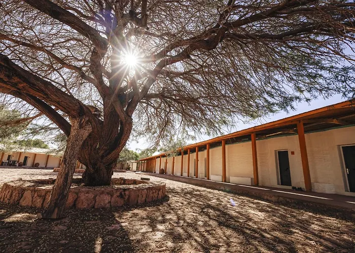 Explora En Atacama