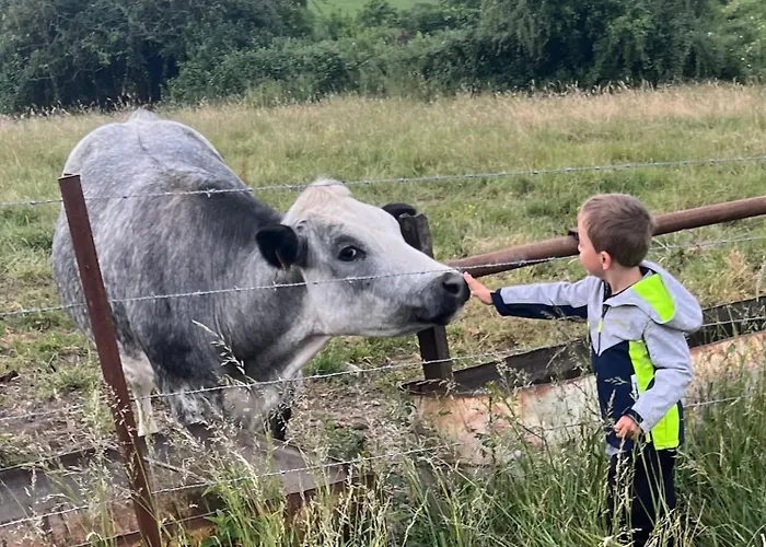 Camping Du Moulin Etang De Peche Ferme Nature
