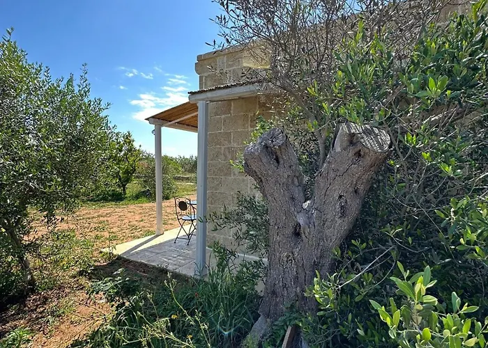 Agricampeggio Tenuta Ferrario