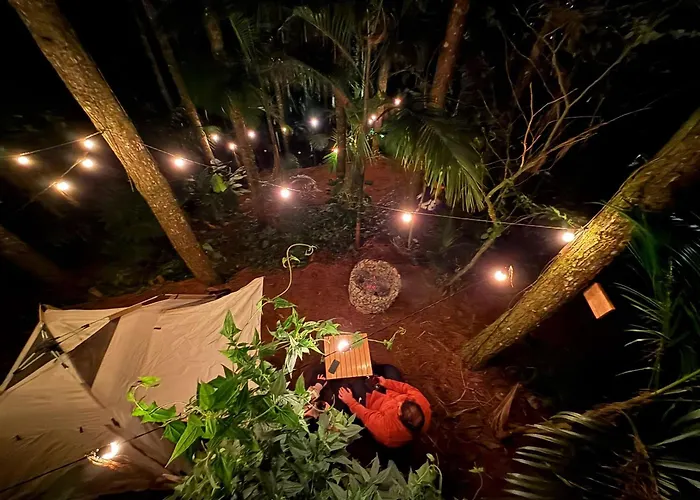 Acampamento Pinhais