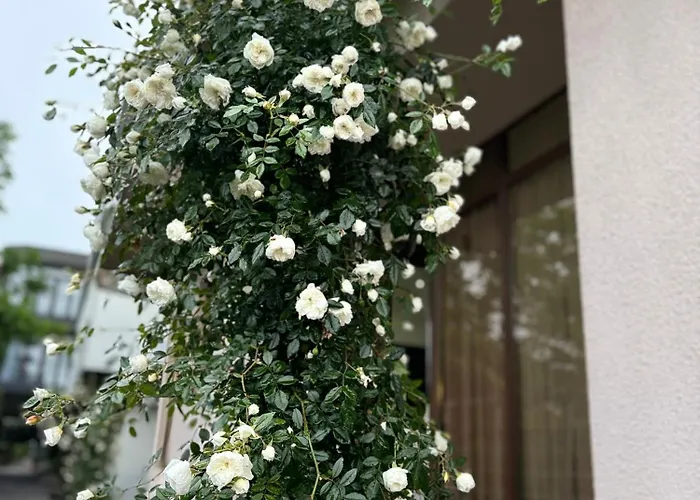Lia Guest House