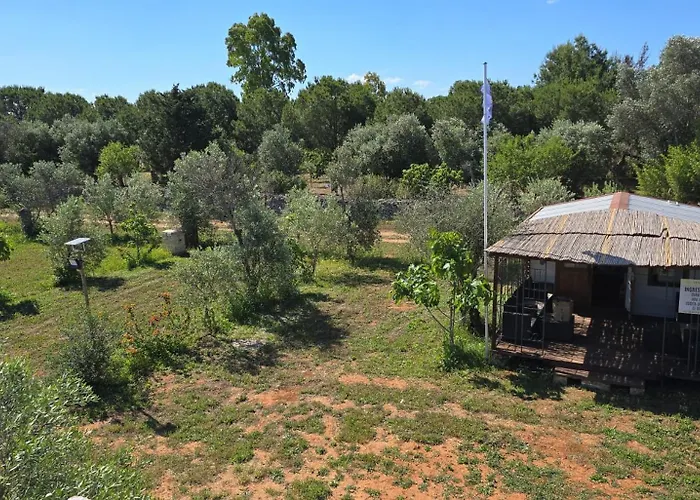 Agricampeggio Tenuta Ferrario