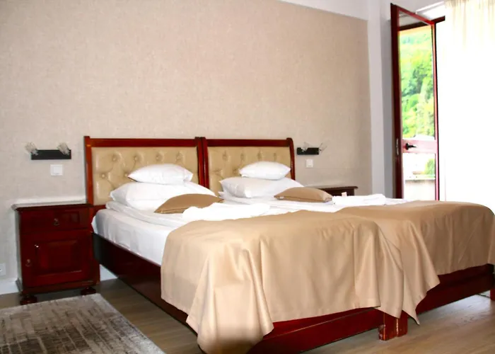 Hotel Nemira