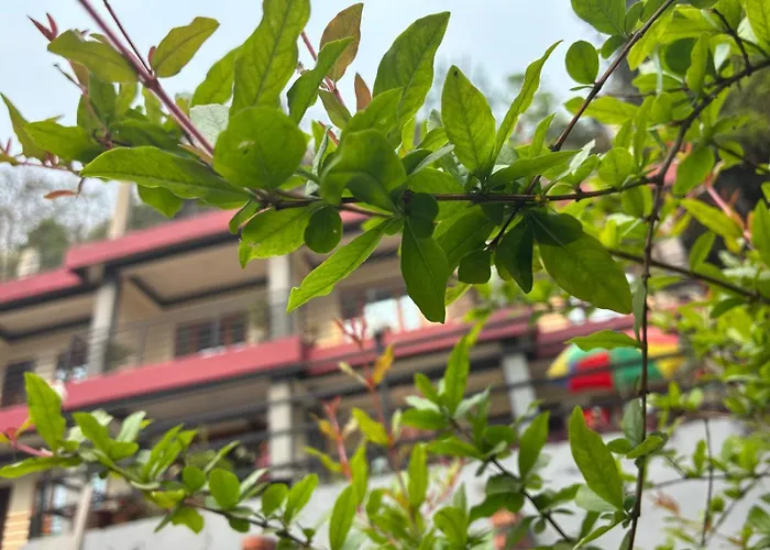 The Grand Kalimpong