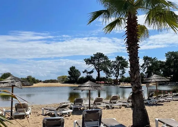 Parenthese Nature Au Cap Ferret