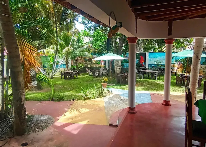 El Jardin Del Coco