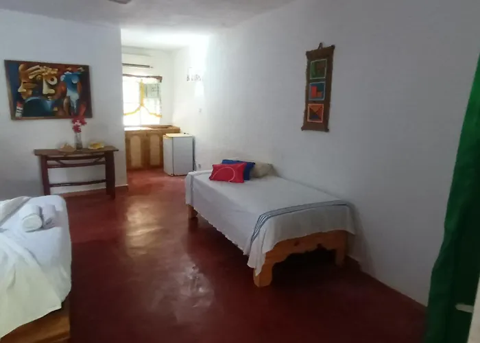El Jardin Del Coco