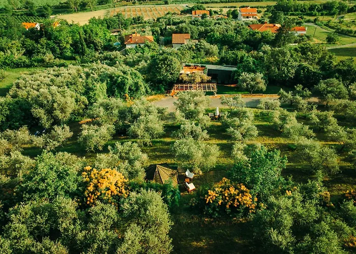 Private Olive Glamping With Tiny House And Two Tents