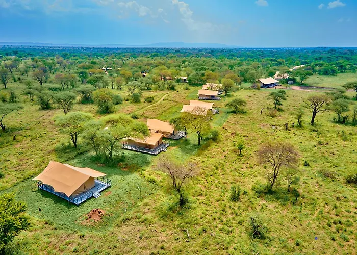Pamoja Migration Camp