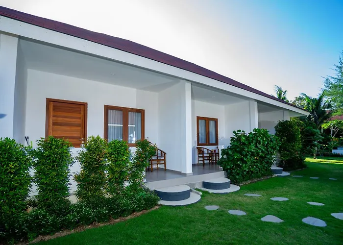 Zena Surf Suite