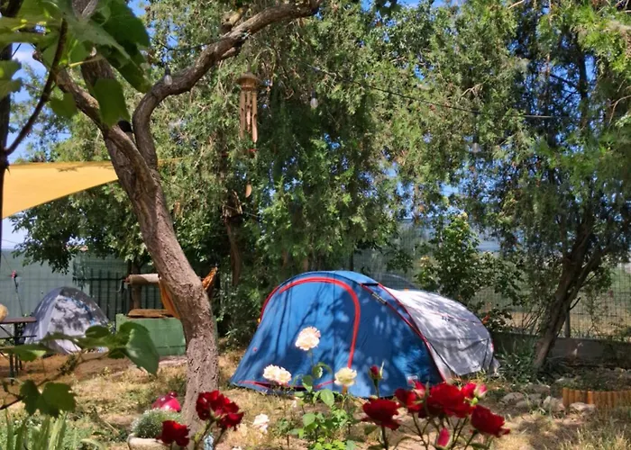 Camping Curtea Pescarusului