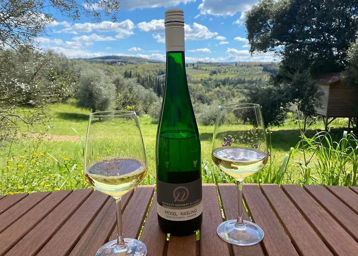 Weingut-Aparthotel Olinger