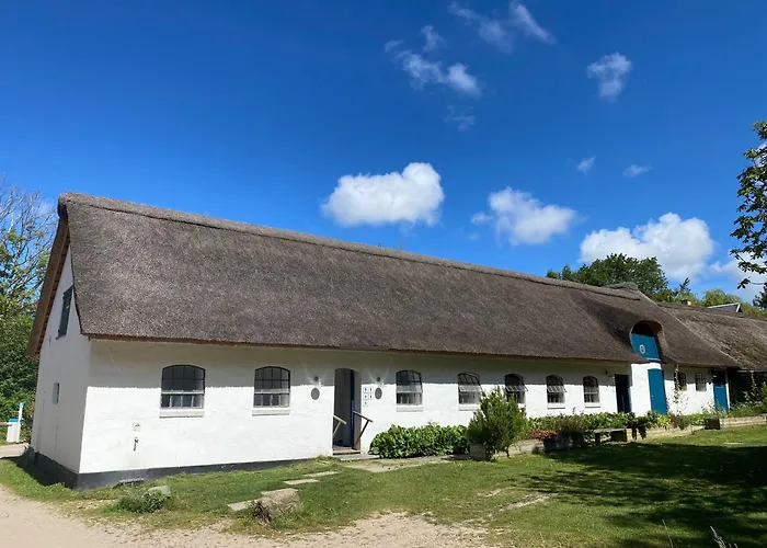 Byaasgaard - Naturecamp & Microfarm