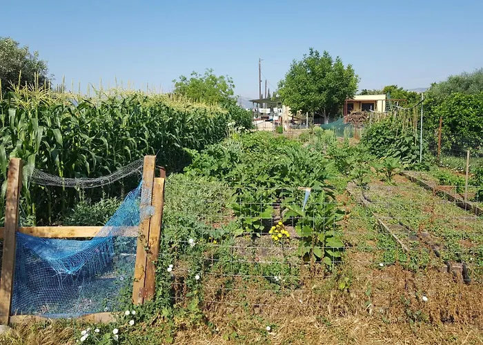 Eco Glamping With Pool Between Nafplio And Argos
