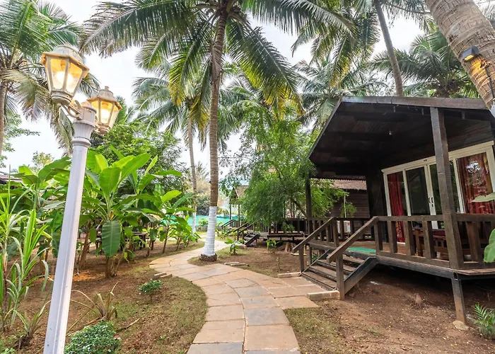 The Exotica Agonda