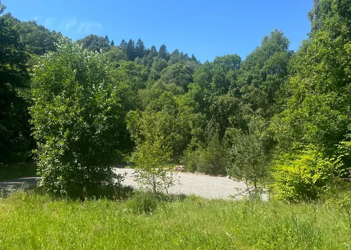 Forest Caravan Park