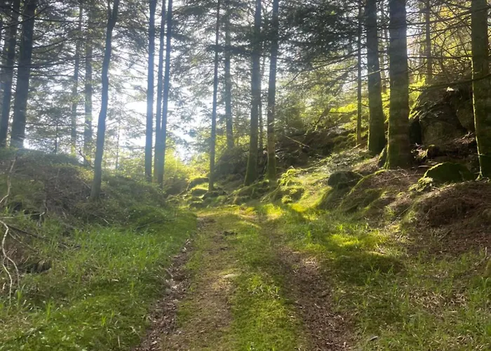 Forest Caravan Park