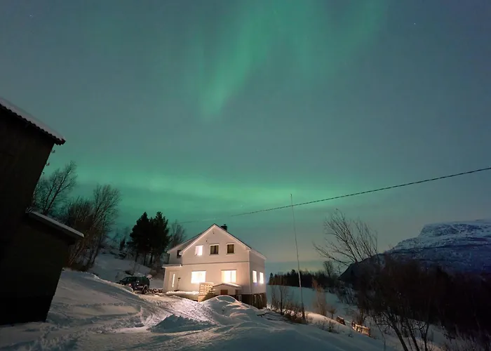 Elvegard Fjordcamp