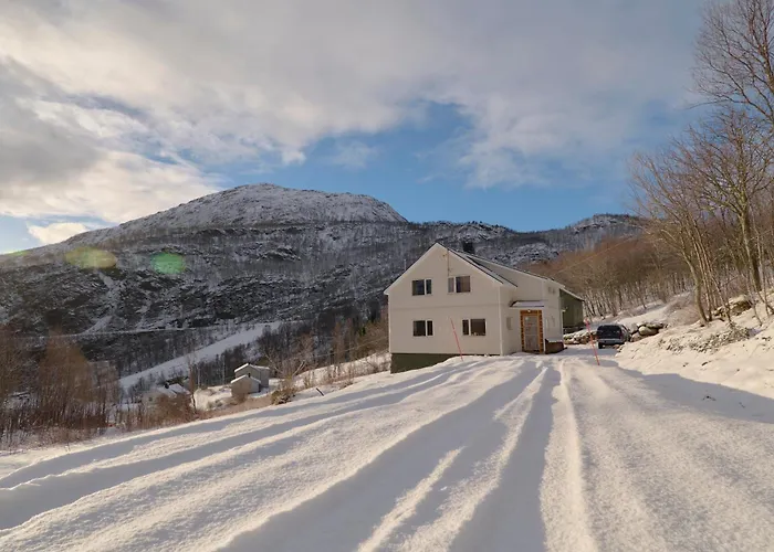 Elvegard Fjordcamp