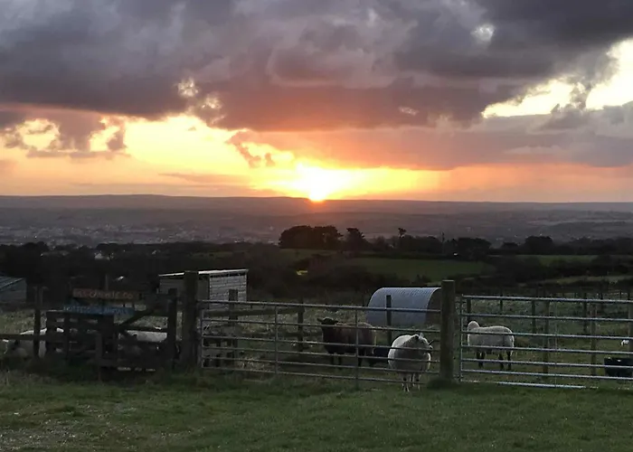Quiet Peaceful Relaxing Off Grid Campervan Seaview And Ponies