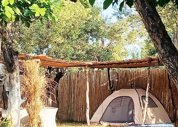 Camping Ullishtja