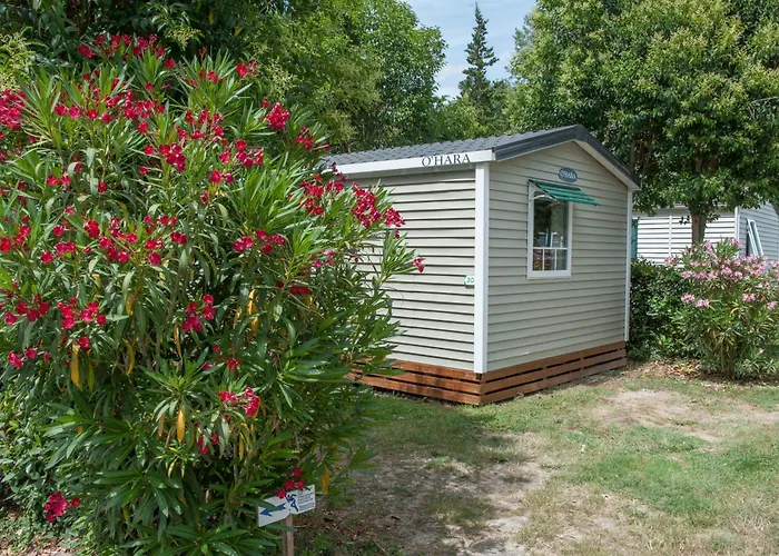 Camping Saint Gabriel ***