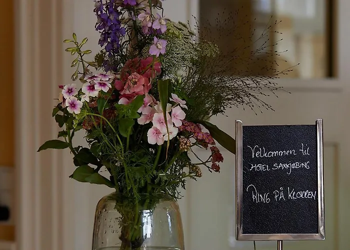Hotel Saxkjobing