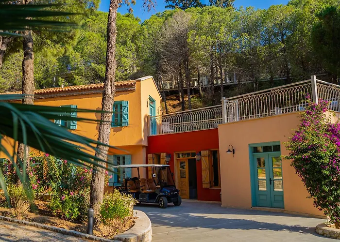Kairos Valley Wellness & Longevity
