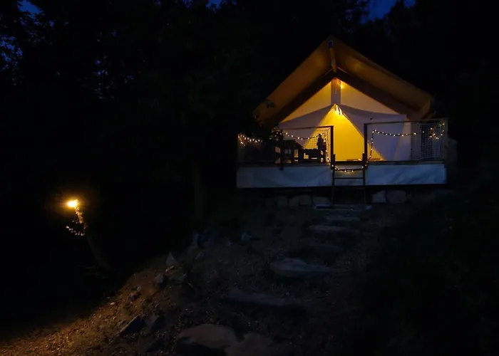 Forrest Garden - Where Nature Meets Comfort