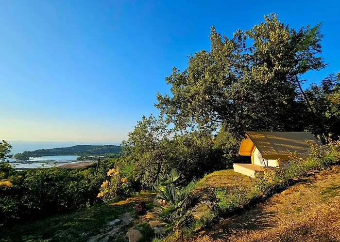 Forrest Garden - Where Nature Meets Comfort