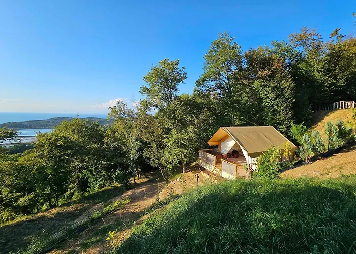 Forrest Garden - Where Nature Meets Comfort