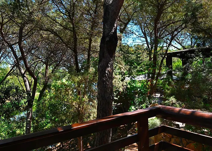Camping Porto Sosalinos