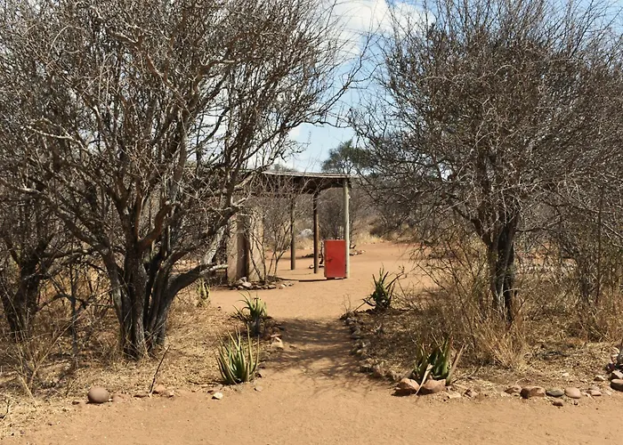 Bush Babies Camp