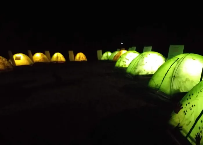 Camping luz do sol