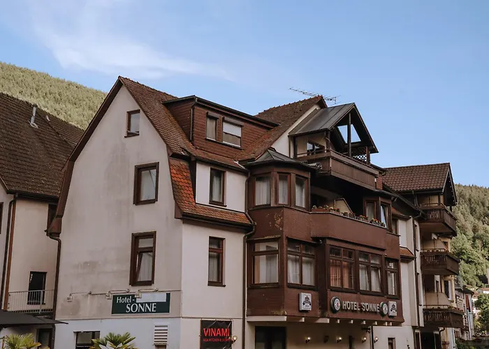 Vinami-Sonne Hotel