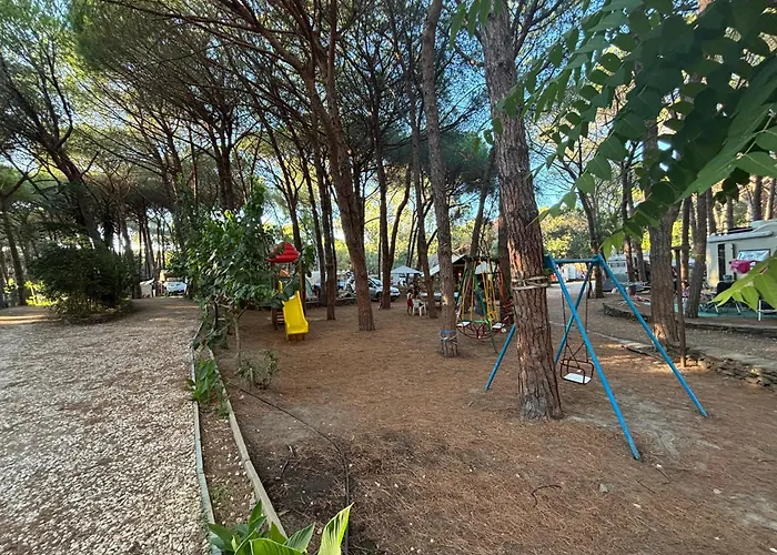 Happy Camp Mobile Homes In Selema Camping