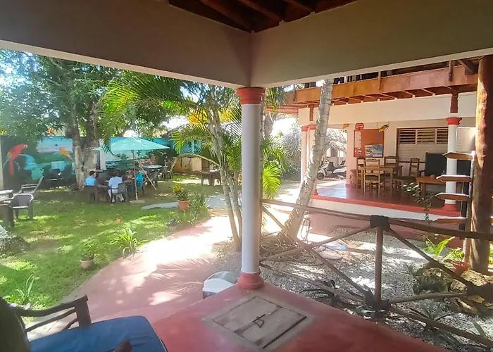 El jardín del coco