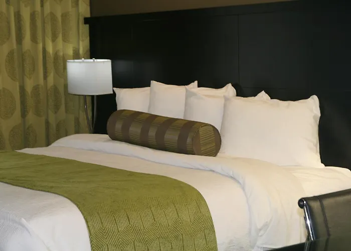 Best Western Plus University Inn