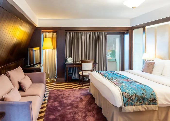 Hotel International