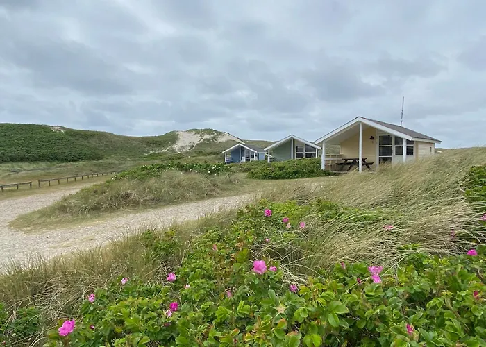 Dancamps Holmsland