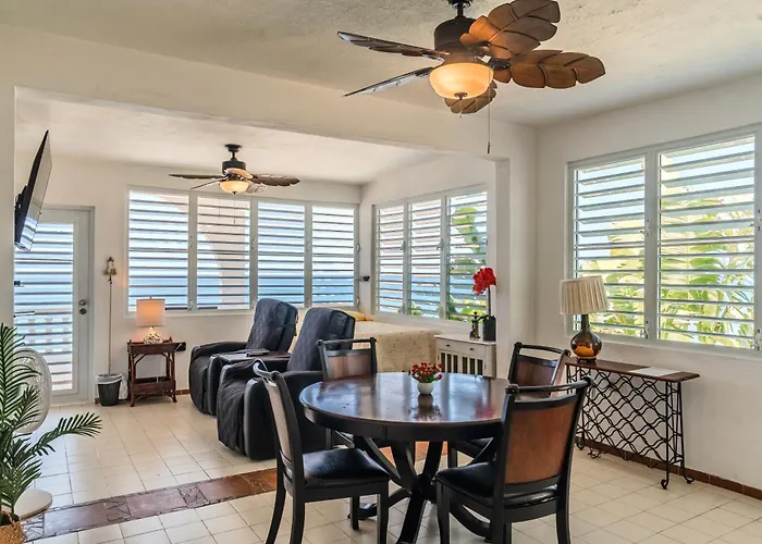 Coconut Palms Rincon