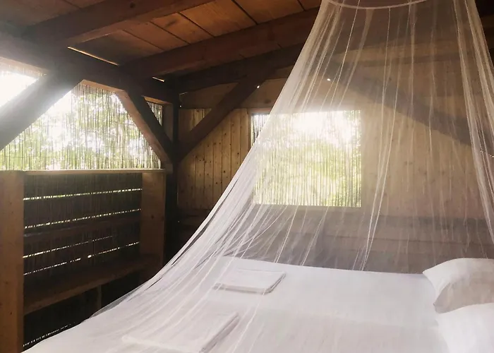 Marusina Olive Hills - Glamping & Minicamp