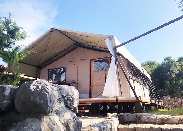 Marusina Olive Hills - Glamping & Minicamp