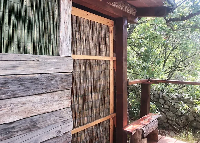 Marusina Olive Hills - Glamping & Minicamp