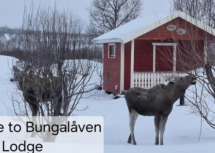 Bungalåven Lodge AS