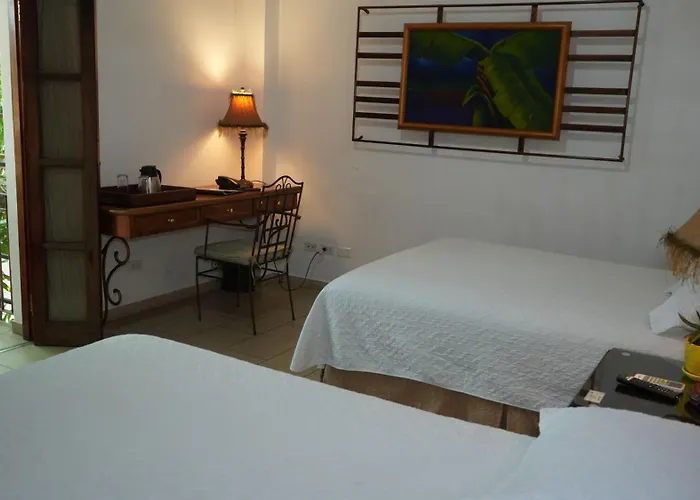 Hotel Casa Del Arbol