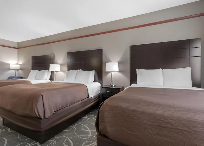 Best Western Limestone Inn And Suites