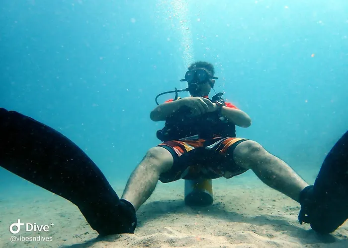 Vibes And Dives