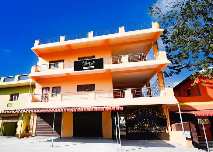 Collection O Auroville Pondicherry